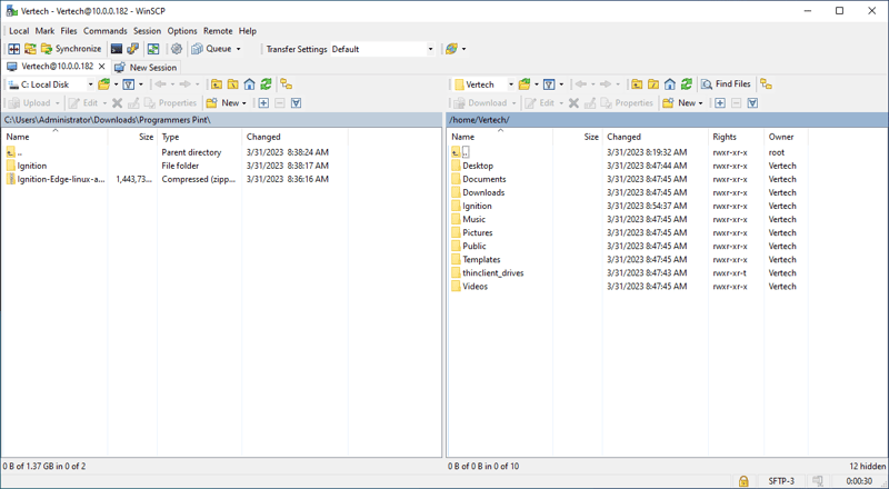 WinSCP Interface Screen Example